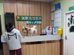 -瑞鹏宠物医院·夜间急症·心超·猫科(祖庙分店)