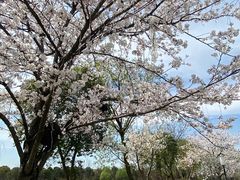 -尚湖风景区