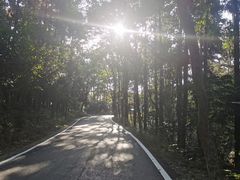 -潜山国家森林公园