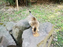 -苏州河梦清园环保主题公园