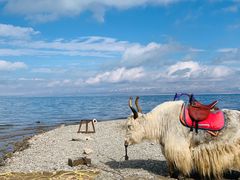 -青海湖国家重点风景名胜区