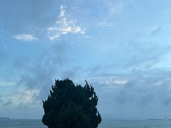 -小麦岛公园