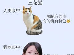 -莘程宠物医院(金山店)