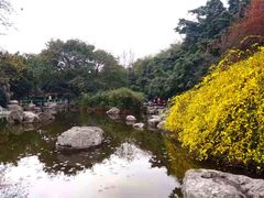 -神仙树公园