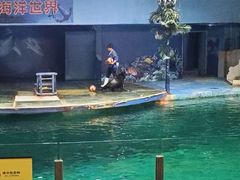 -苏州海洋馆