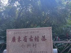 -小洲村