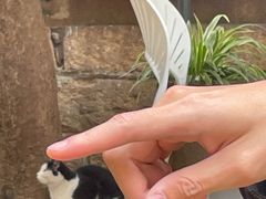 -厦门良筑精品酒店(厦门中山路店)