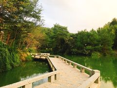 -仙店农庄(湖景农庄餐厅)