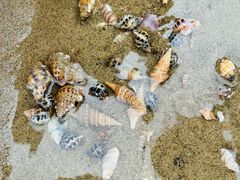 -南澳海滩