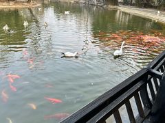 -常州花鸟园酒店(西太湖品牌优选店)