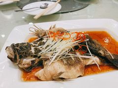 -王宝和酒家(黄浦店)