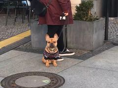 -佩加蒙博物馆