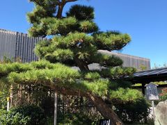 -南紀白浜 浜千鳥の湯 海舟