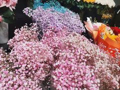-双季花艺园艺市场(浦东店)