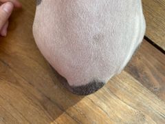 -猫小院猫主题咖啡厅(北锣店)