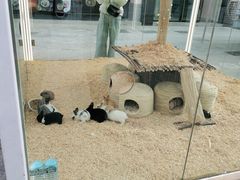 -T28PARK公园里