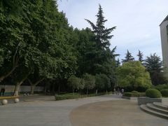 -西京医院