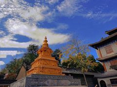 -西安大兴善寺