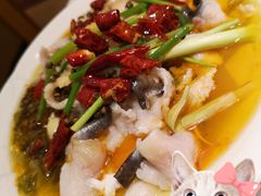 特色酸菜鱼，-金利茶餐厅(中船汇店)