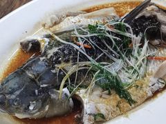 -田园山庄农家乐(石岩店)