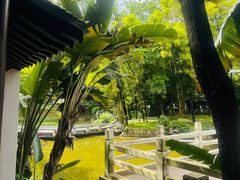 -深圳国际园林花卉博览园