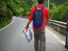 -黑河国家森林公园