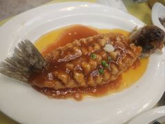 -清真马祥兴菜馆(云南北路店)