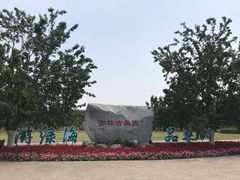 -御林古桑园
