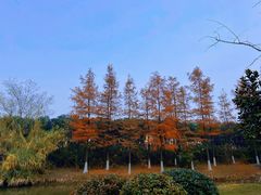 -幕燕滨江·长江观音景区