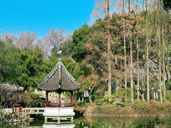 -上海醉白池公园