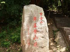 -紫金山山顶公园