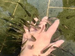 -山湖温泉