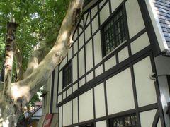 -一尺花园(安和花园店)