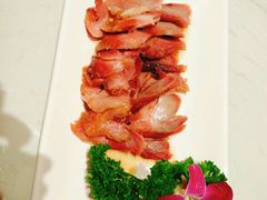 -南枝记