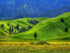 -新疆那拉提国家旅游度假区