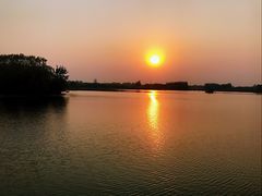 -大兴滨河森林公园