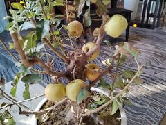 -茅庐·川粤精品私房菜(金沙遗址店)