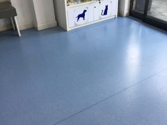 -伟伟宠物医院·CT影像中心·瑞派犬猫综合性门诊(汉口总院)