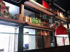 -探鱼·鲜青椒爽麻烤鱼(广州欣荣广场店)