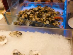 -长春净月潭喜来登酒店·盛宴标帜餐厅