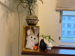 -阿九笨鸡蛋手擀面(总店)
