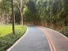 -眉山湿地公园(东坡区)