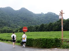 -中国茶叶博物馆(双峰馆区)