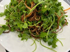 春苗拌香干-渔家乐小海鲜(皇姑店)
