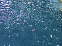 -水王国温泉水世界