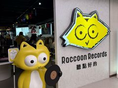 -浣熊唱片店(上海影城店)