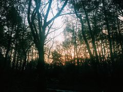 -南京东郊国宾馆