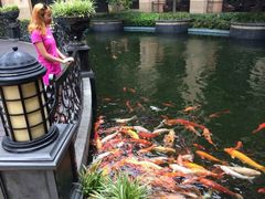 android_upload_pic-上海浦东星河湾酒店