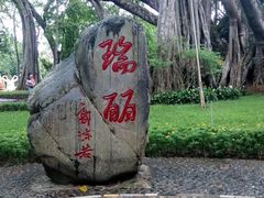 -莫里热带雨林景区