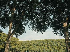 -河南省黄河迎宾馆